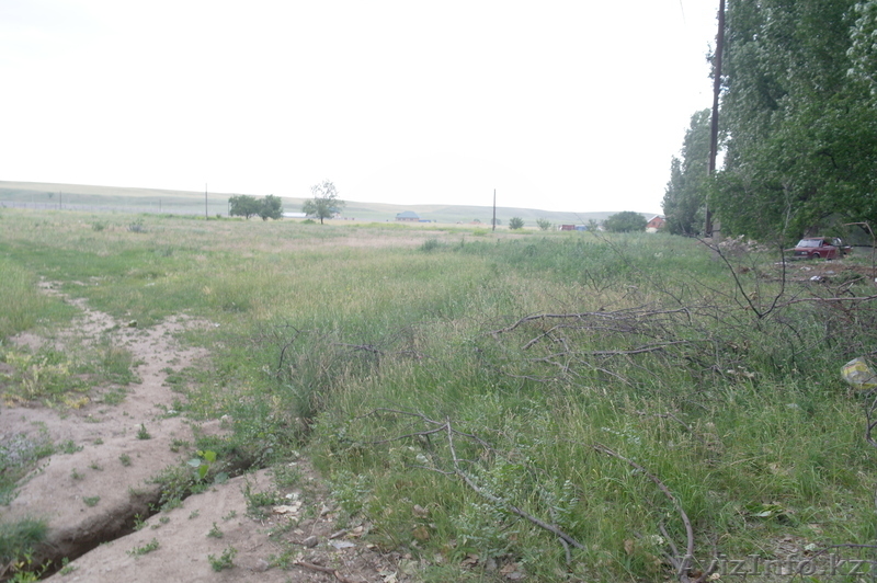 Участок 50 соток в ПК Райымбек - 100 000$ - Изображение #2, Объявление #1007991