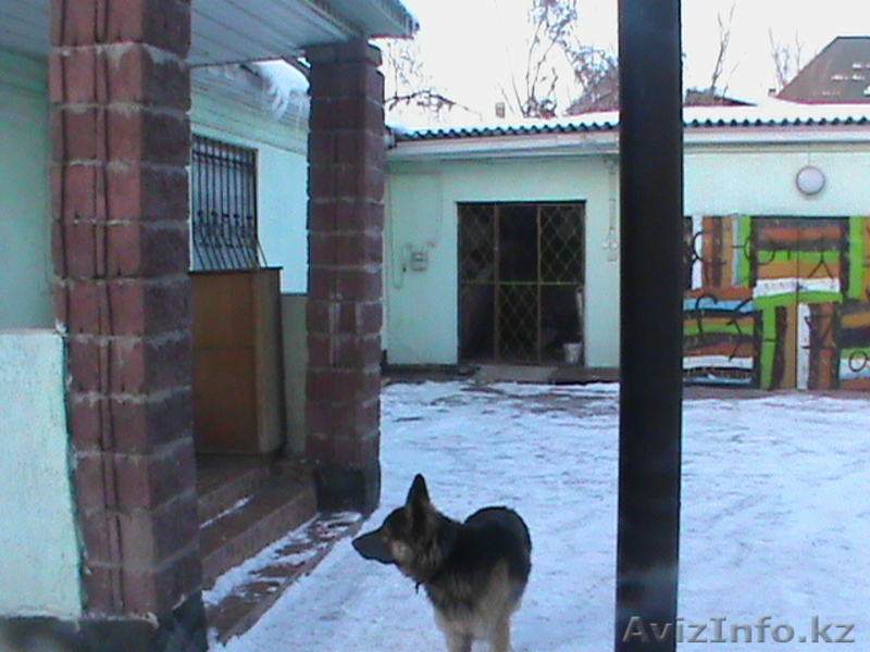 дом на пересечения кассина белинского,напротив ипподрома - Изображение #1, Объявление #1017300