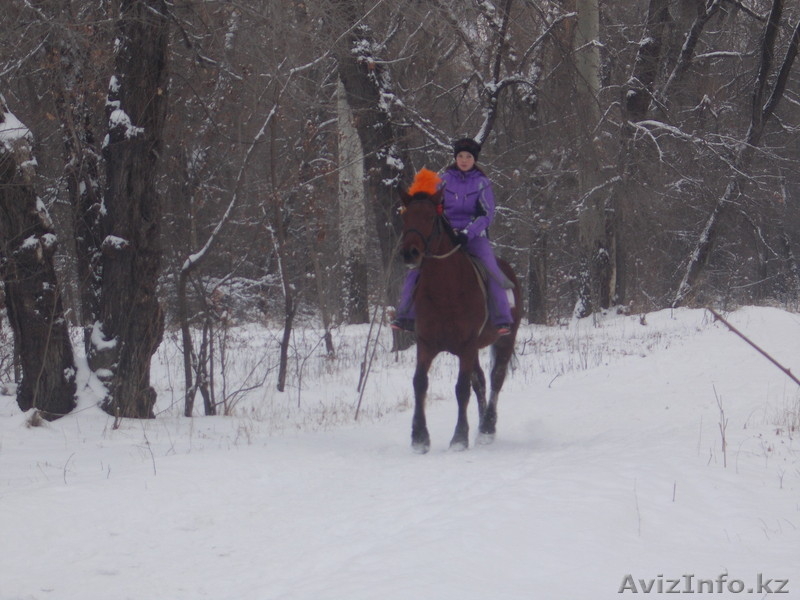 обучение детей верховой езде - Изображение #3, Объявление #1014453