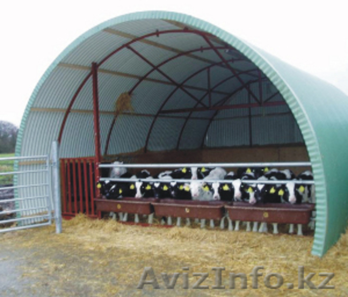 Коровник быстро собранный коровник прослужит фермеру очень долго - Изображение #2, Объявление #1025110