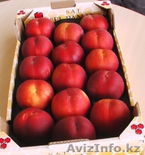 Свежие  фрукты и овощи из Испании  - Изображение #1, Объявление #1026162