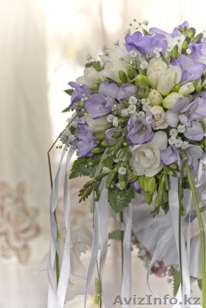 компания Asterix - Изображение #7, Объявление #1036522