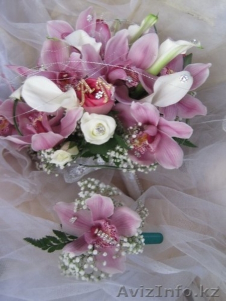 компания Asterix - Изображение #4, Объявление #1036522