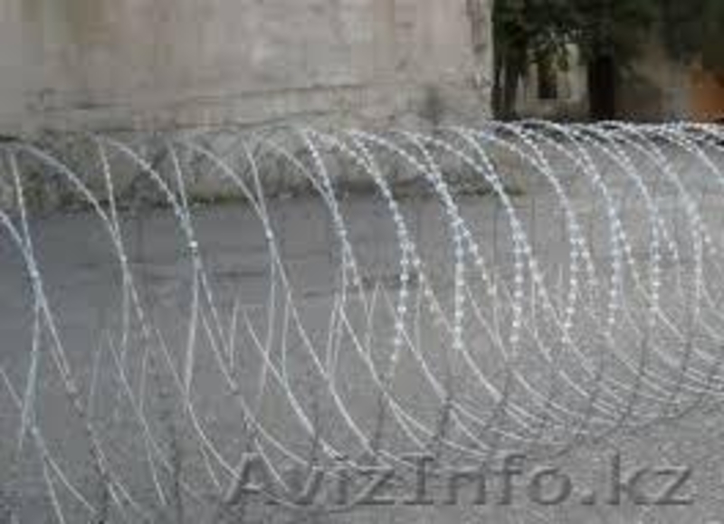 Колючая проволока АКЛ СББ ПББ МСББ ББР К Егоза  - Изображение #2, Объявление #1046646