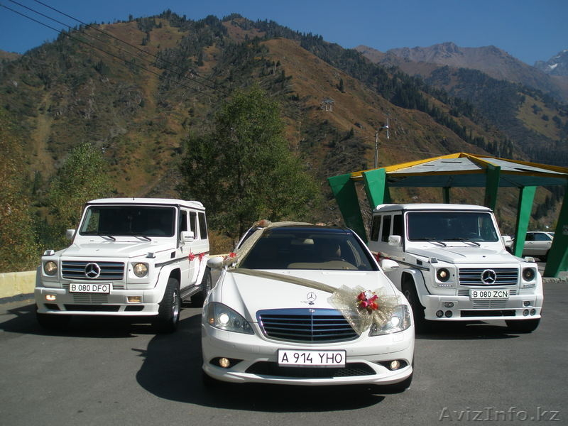 Виктория: прокат лимузинов - Изображение #2, Объявление #1038397