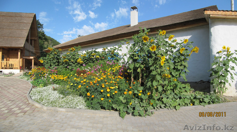 озеленение Нескучный сад  - Изображение #5, Объявление #1052964