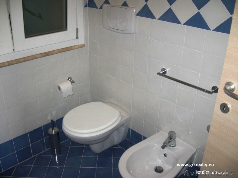 Многочисленные наблюдения подтвердили… - Изображение #7, Объявление #1054509