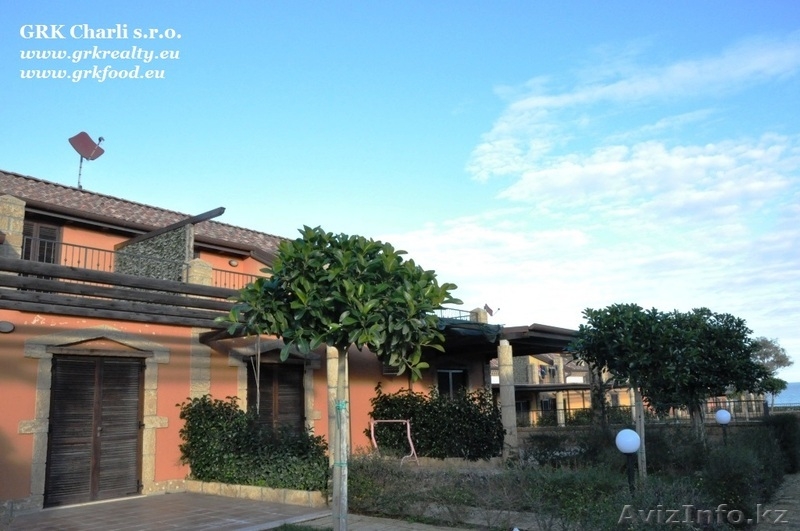 Лучше гор могут быть только виноградники! - Изображение #2, Объявление #1054507