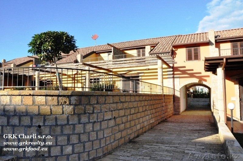 Лучше гор могут быть только виноградники! - Изображение #4, Объявление #1054507