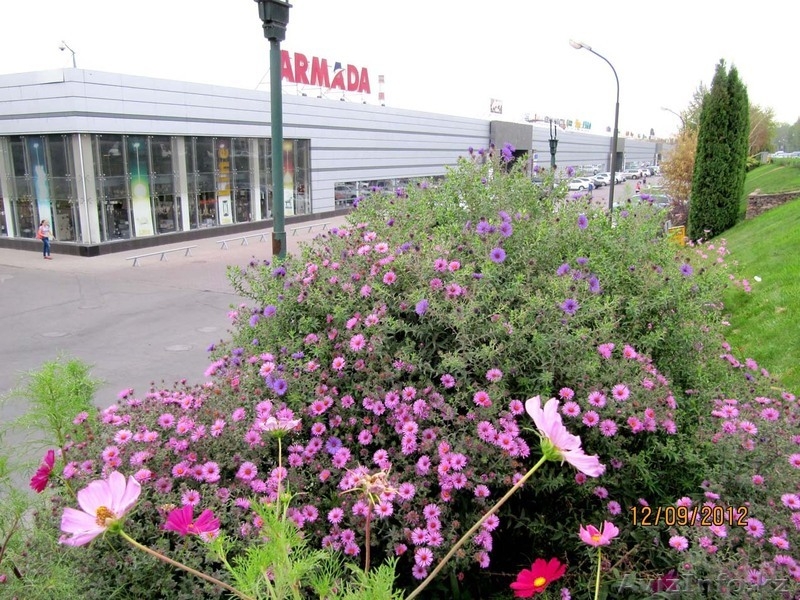 озеленение Нескучный сад  - Изображение #4, Объявление #1052964