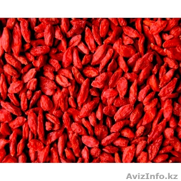 ягоды годжи, годжи в алматы, ягоды годжи купить в алматы - Изображение #1, Объявление #1053194