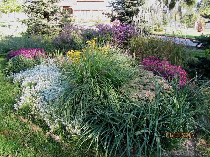 озеленение Нескучный сад  - Изображение #6, Объявление #1052964