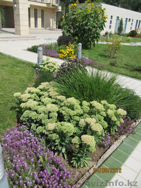 озеленение Нескучный сад  - Изображение #3, Объявление #1052964