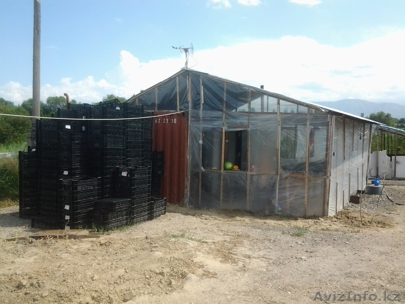 Продажа тепличного хозяйства - Изображение #4, Объявление #956296