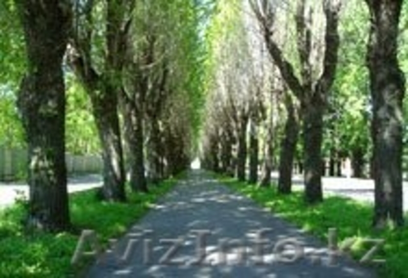 Сделайте ПОДАРОК вашим РОДИТЕЛЯМ, лечение в санаторий "Жансая" - Изображение #2, Объявление #1069482