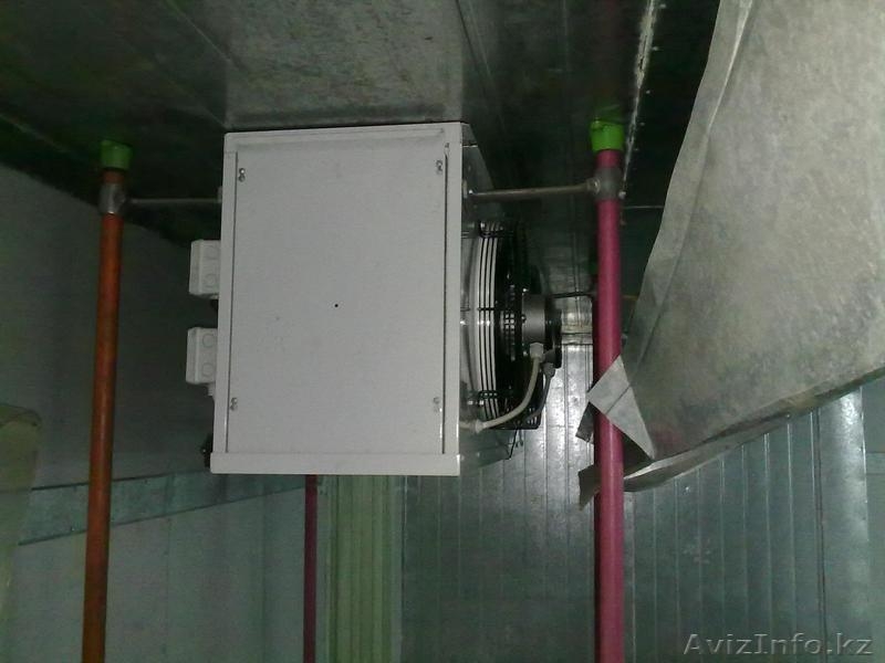 Морозильная камера (0 /-25 ) - Изображение #3, Объявление #1072154