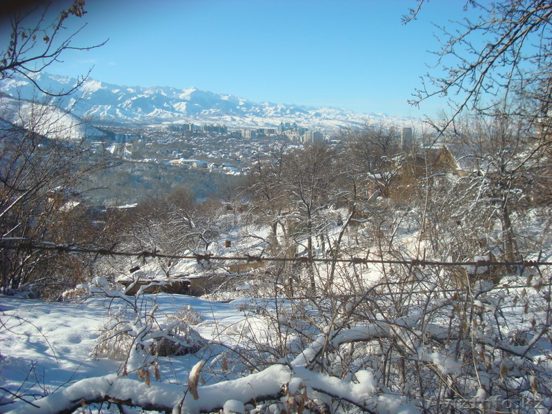 Продам участок . - Изображение #4, Объявление #1076715