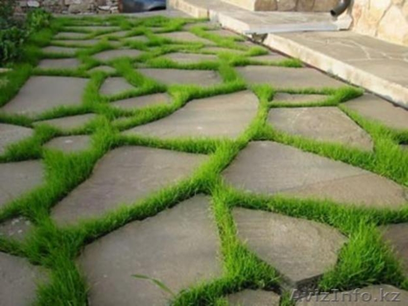 Плитняки разного вида  - Изображение #1, Объявление #1096707