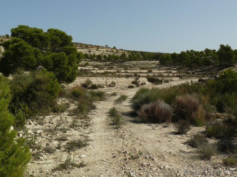  урбанизационный участок в Испании, Alicante, Monforte del Cid, Costa B - Изображение #2, Объявление #1091988