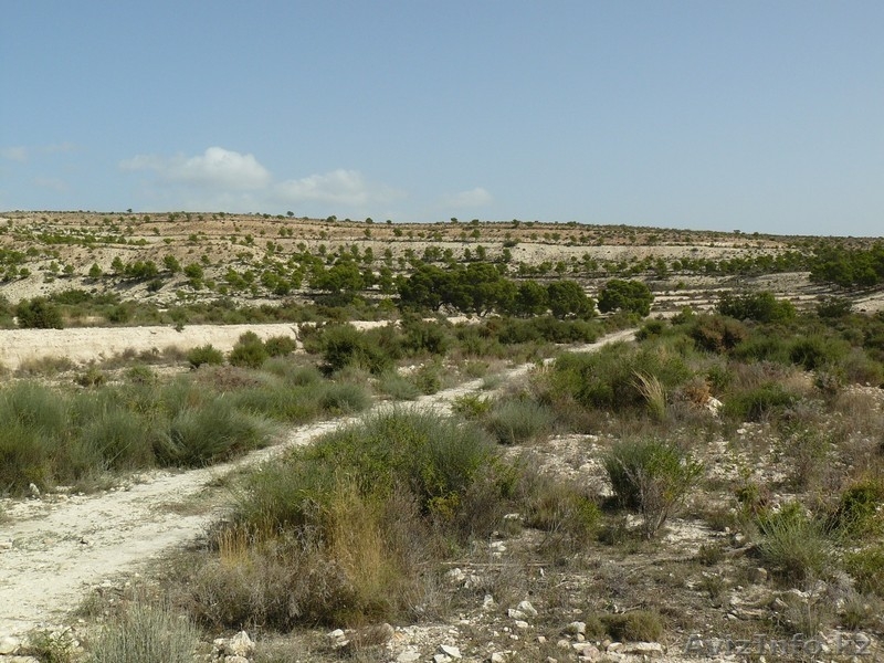  урбанизационный участок в Испании, Alicante, Monforte del Cid, Costa B - Изображение #1, Объявление #1091988