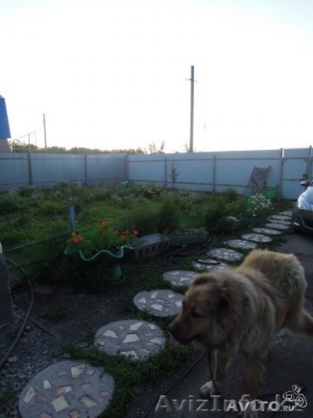 ПРОДАМ ОСОБНЯК  г.Челябинск - Изображение #8, Объявление #1087114