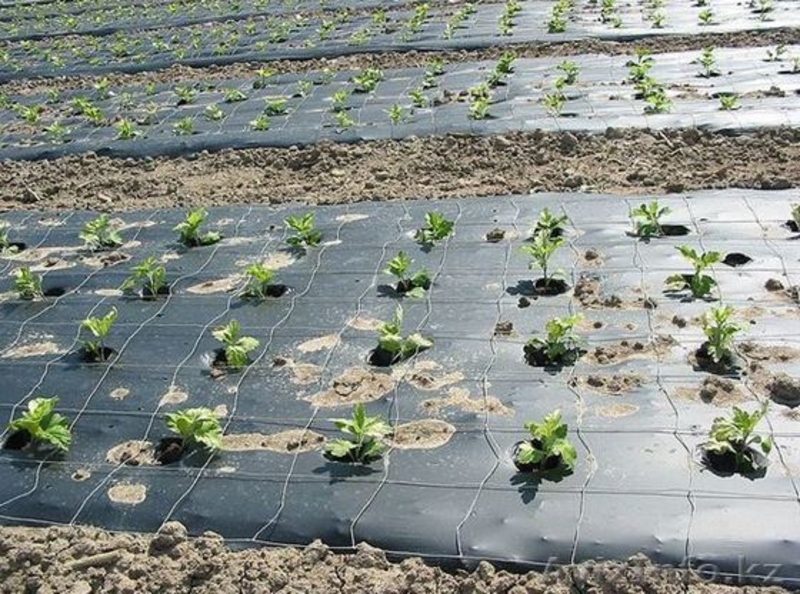 Геотекстиль KGS Текстиль KGS 150 - 800г/м.кв. - Изображение #9, Объявление #1087487