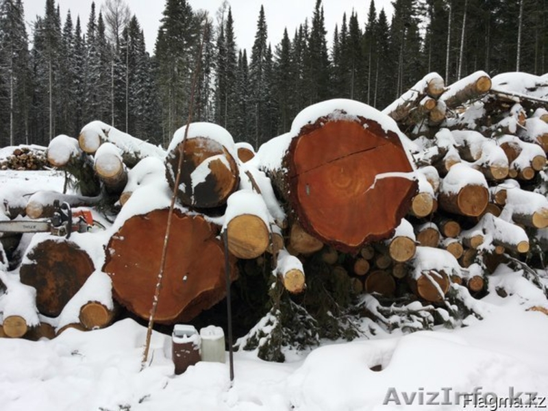Пиломатериал из Сибири ТОО "Сибирский лес" - Изображение #3, Объявление #1099745