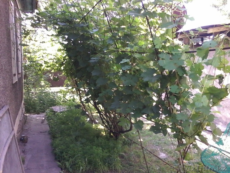 Срочно!Продам дом в мкр Карасу - Изображение #3, Объявление #1110432