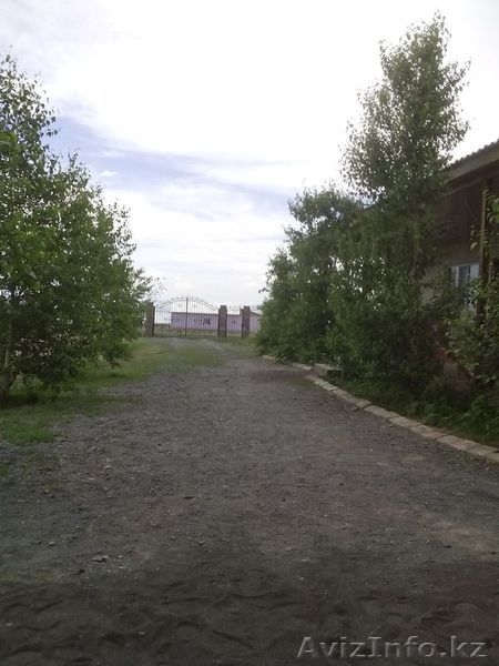 Алаколь Отдых на Алаколе Пансионат зеленая крыша - Изображение #10, Объявление #1110805