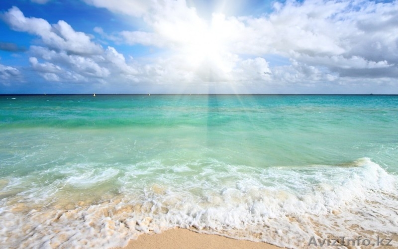 участок 12 соток на алаколе - Изображение #5, Объявление #1105573