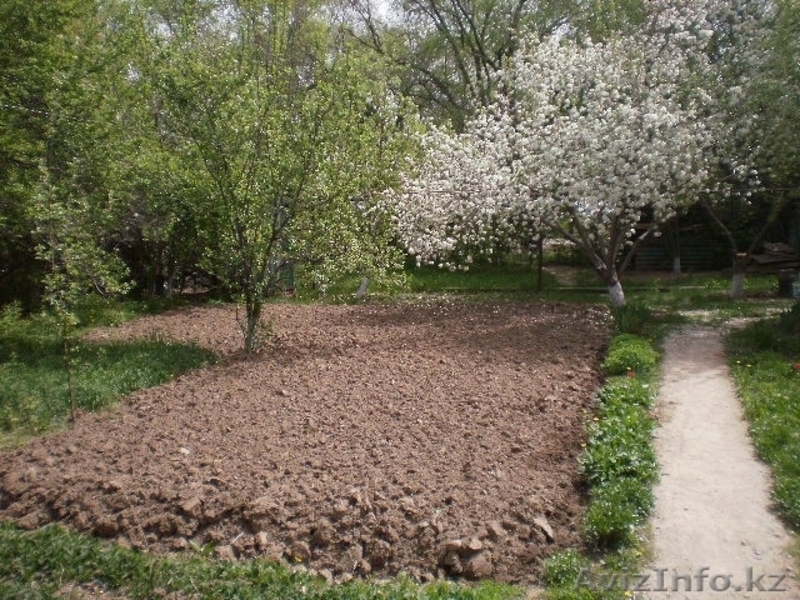 Продам 7 комнатную дом в Алмате за 85000$ - Изображение #9, Объявление #1100944