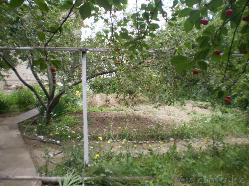 Продам 7 комнатную дом в Алмате за 85000$ - Изображение #10, Объявление #1100944