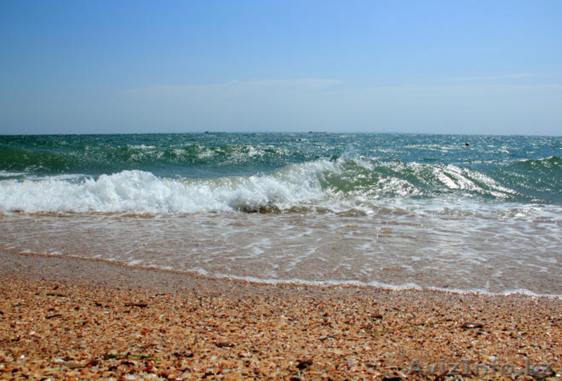 участок 12 соток на алаколе - Изображение #10, Объявление #1105573