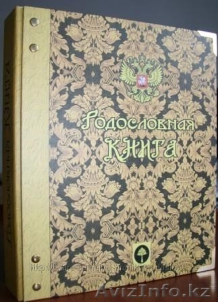 Продам и помогу составить родословные книги, книги о семье - Изображение #3, Объявление #1114952