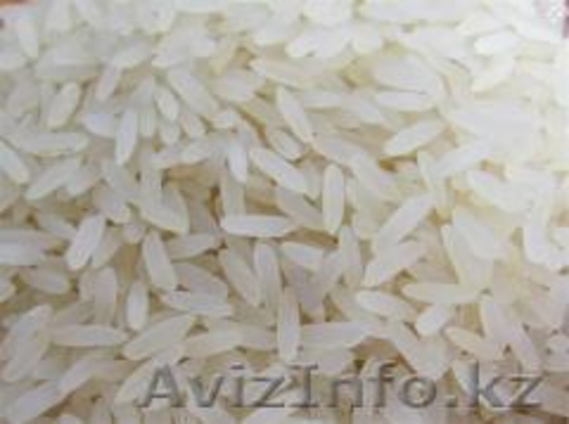 Рис оптом от производителя. - Изображение #1, Объявление #1118312