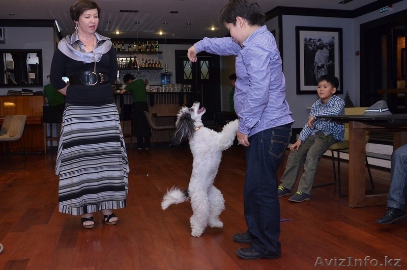Клоуны,аниматоры и фокусник на день рождения ребенка в Алматы - Изображение #6, Объявление #1124332