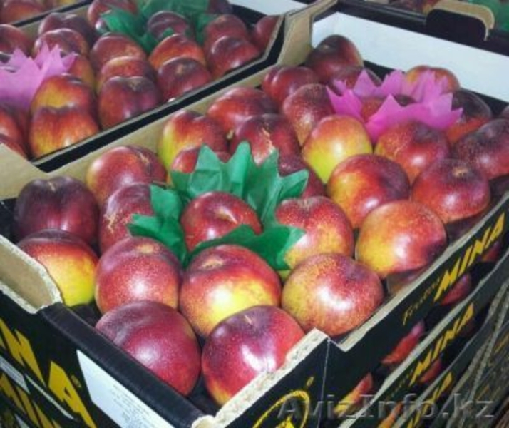 Свежие  фрукты и овощи из Испании  - Изображение #3, Объявление #1026162