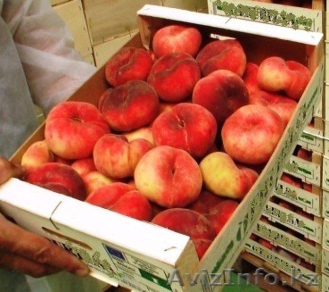 Свежие  фрукты и овощи из Испании  - Изображение #5, Объявление #1026162