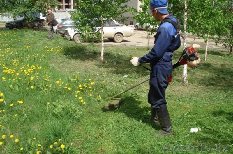 Покос травы. StroyKZ. - Изображение #2, Объявление #1122734