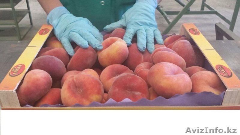 плоский персик(парагвайский) - Изображение #3, Объявление #1129252