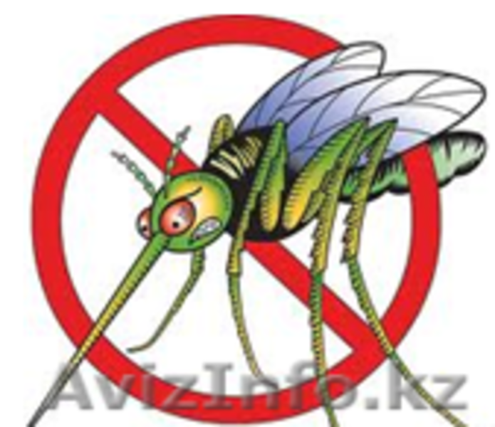 Уничтожение комаров в Алматы и Алматинской области - Изображение #3, Объявление #1131164