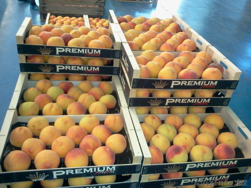 персик из Испании - Изображение #3, Объявление #1129255