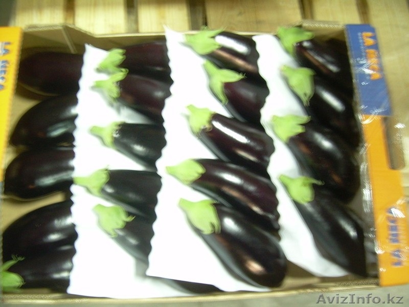 продаю овощи из Испании - Изображение #1, Объявление #1137383