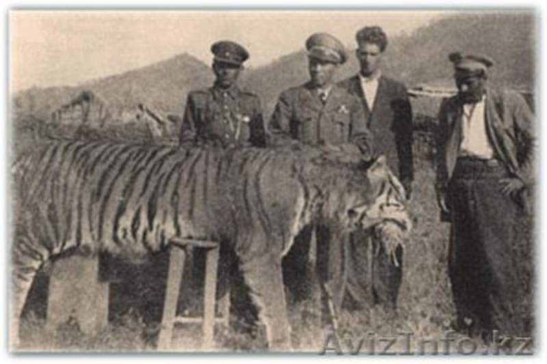 Ищу работу водителя на частичную или полную занятость. - Изображение #4, Объявление #1134448