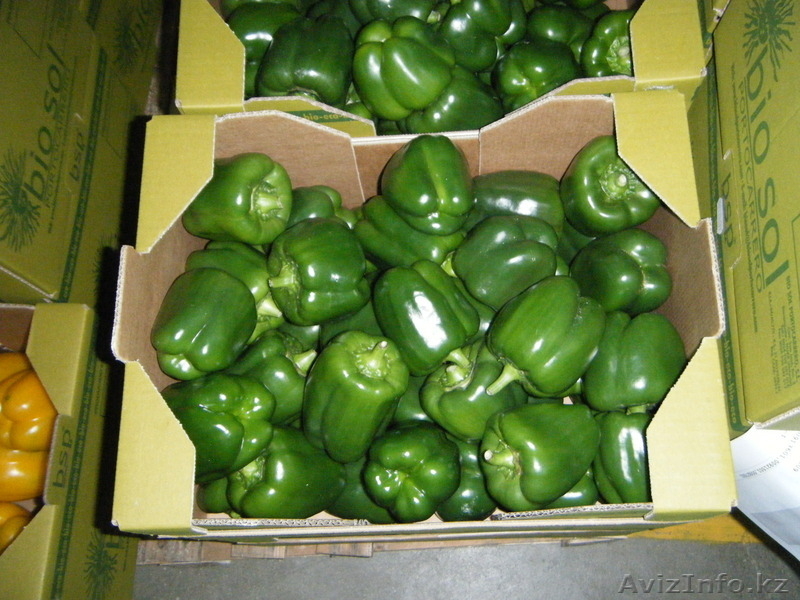продаю овощи из Испании - Изображение #7, Объявление #1137383