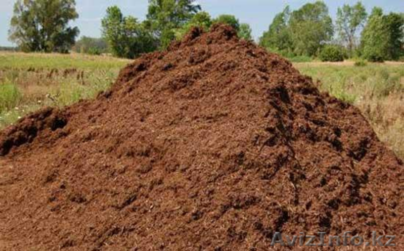 Навоз  Конский и Перегной, доставка ЗИЛ с/х 8 куб. по городу и обл. - Изображение #2, Объявление #1139790