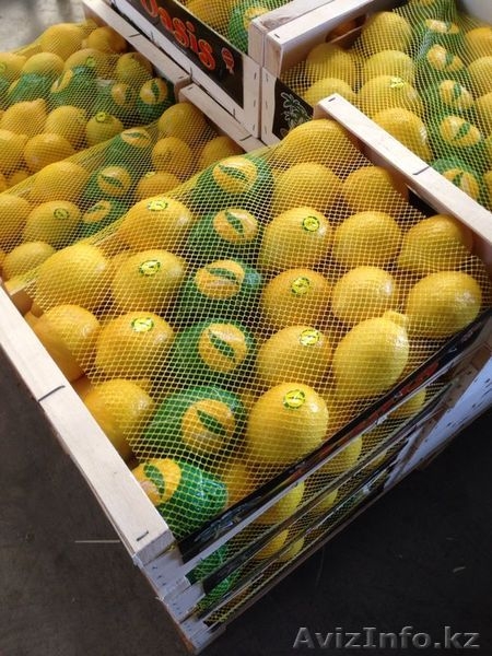 мандарины,апельсины,лимоны из Испании - Изображение #3, Объявление #1129256