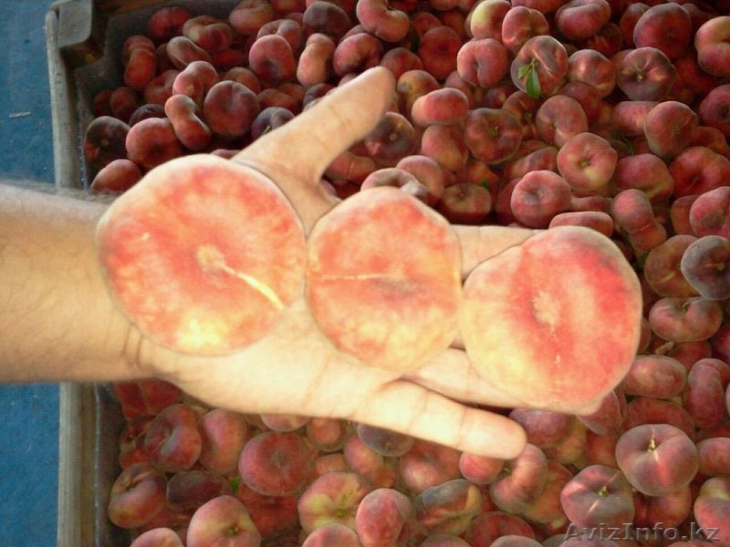 плоский персик(парагвайский) - Изображение #2, Объявление #1129252