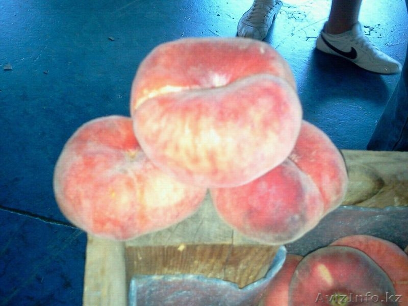 плоский персик(парагвайский) - Изображение #1, Объявление #1129252