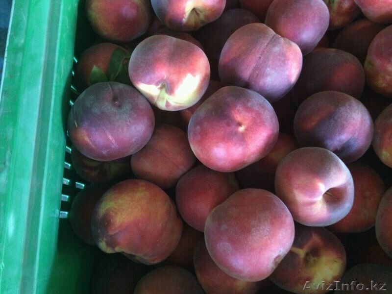 нектарин из Испании - Изображение #2, Объявление #1129254
